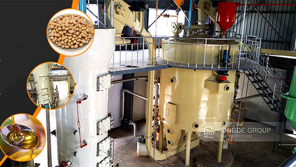 camellia seed oil making machine in South Africa