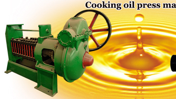 coconut meat seed oil extraction machine in Tanzania