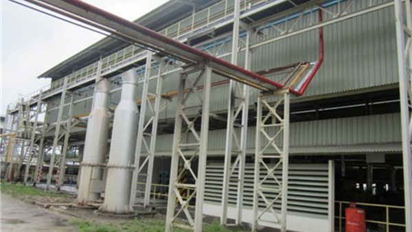 oliomio gold - oliomio's newest olive oil extraction unit