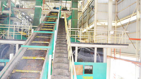 soybean oil press machine | soybean oil extraction machine